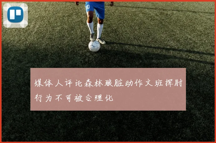 媒体人评论森林狼脏动作文班挥肘行为不可被合理化